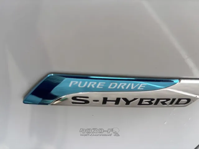 2013 Nissan Serena　Highway Star S-HV with panoramic Roof